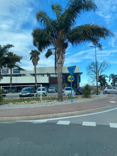 This image captures a commercial street scene in Saint-Cyprien, France, under a bright blue sky with scattered white cirrus clouds. In the immediate foreground, a dark asphalt road displays two white rectangular markings indicating a pedestrian crossing. This road abuts a light gray curb, separating it from a reddish-brown pedestrian pathway. Beyond the pathway is a landscaped median featuring light-colored gravel, low green plants, and several tall palm trees with green fronds. A prominent palm tree stands centrally, partially obscuring a blue triangular yield sign mounted on a blue pole.

In the midground, a two-story commercial building with a light-colored facade and a dark, possibly tiled, roof is visible. The ground floor houses various businesses, including a "Lidl" supermarket with its distinctive yellow and blue logo prominently displayed on the right side of the building. To the left of the Lidl, a sign with "numco" and an "À LOUER" (For Rent) sign with the phone number 04 68 87 07 40 are visible. A parking lot directly in front of the building contains multiple parked vehicles, including a dark gray sedan, a white compact car, and a white Volkswagen Up!. To the right of the central palm tree, a dark gray streetlamp stands, and a bare deciduous tree with thin branches is visible against the sky. No individuals are present in the scene.