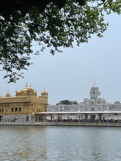 The image depicts the Golden Temple in Amritsar, India. In the foreground, a body of water reflects the sky and the temple complex. A walkway, lined with people, extends across the water towards the main temple. The Golden Temple, a Sikh gurdwara, is characterized by its golden dome and intricate architecture. To the right of the Golden Temple, a white building with domes and a clock tower is visible. Lush green trees with dark leaves hang from the top of the frame, partially obscuring the sky. The sky is clear and pale, suggesting daytime. The overall scene conveys a sense of religious pilgrimage and architectural grandeur.