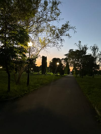 This is a nighttime photograph taken in the city of Endirei, Russia, featuring a park pathway illuminated by lampposts as dusk settles. The scene is dominated by trees, some with dense foliage and others with bare branches, casting shadows on the well-maintained path. Green grass lines the sides of the path, with scattered benches visible in the background. The sky transitions from a pale blue to a warm orange hue near the horizon, indicating the end of daylight. Several individuals are walking along the path in the distance, engaged in leisure activities. The overall atmosphere is tranquil and serene.
