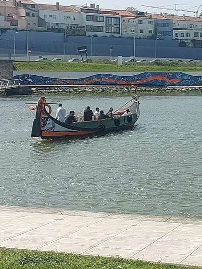The image depicts a moliceiro boat navigating a canal in Aveiro, Portugal. The boat is carrying multiple passengers. Adjacent to the canal is a pedestrian walkway composed of tiled pavers and a strip of grass. Buildings are seen in the background on the other side of the canal. An artistic mural decorates the canal wall.