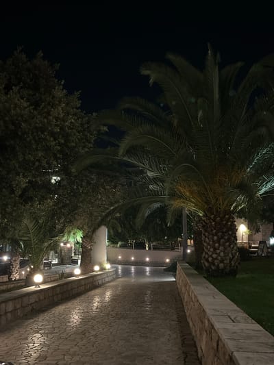 The image depicts a nighttime scene on a paved walkway lined with stone walls and illuminated by spherical ground lights. Lush palm trees and other foliage are visible, casting shadows. In the background, there appear to be buildings and outdoor seating areas, suggesting a commercial or recreational establishment. The location is identified as the city of Pečurice, Montenegro. There are no people or animals visible in the frame, and no actions or interactions are taking place. The overall atmosphere is serene and dimly lit, characteristic of an outdoor space at night.