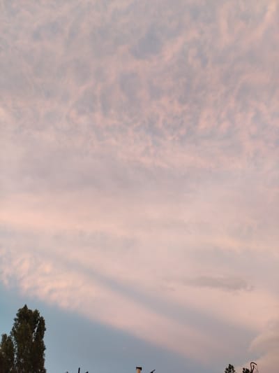 This is a wide shot of a sky at sunset, with the bottom of the frame showing the tops of trees and some man-made structures. The sky is filled with clouds that are tinted pink and orange by the setting sun, with patches of blue sky visible in between. The clouds appear wispy and scattered, creating a soft, diffused light. The trees are dark silhouettes against the colorful sky, and their branches are sparse. Some dark, angular structures, possibly rooftops or chimneys, are also visible at the very bottom of the image. The overall mood is peaceful and serene, characteristic of a sunset. The image captures a moment of natural beauty in a somewhat urban or semi-urban setting, suggested by the presence of man-made structures. The time of day is clearly sunset. There is no visible text in the image.
