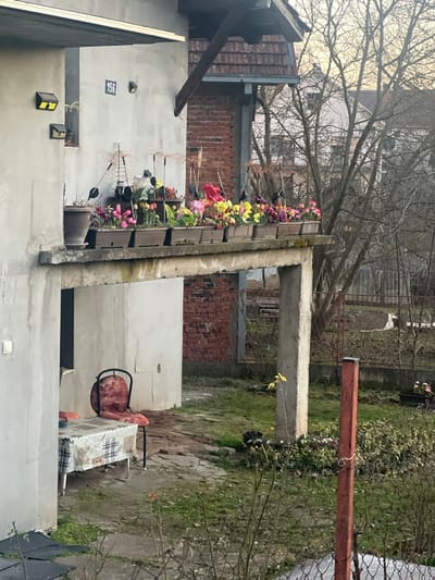 An outdoor scene depicts a residential property at house number 156 within Smederevska Palanka Municipality, Serbia. The primary subject is a multi-story building featuring a light gray, likely stuccoed facade. An upper-level concrete balcony extends horizontally, supported at its outer corner by a concrete pillar. The balcony railing consists of a series of approximately eleven rectangular brown planters, each containing a dense arrangement of colorful artificial flowers, predominantly pink, yellow, and red. Several decorative items, including spiral wire structures and dark-colored ornaments, are interspersed among the planters. A large brown ceramic pot is situated on the leftmost section of the balcony. Two black, square solar-powered lights are mounted on the light gray wall above the balcony, adjacent to the house number "156".

Behind the gray building and balcony, a section of a red brick wall is visible, suggesting another structure or part of the same building. Above this, a brown tiled roof section is partially visible, supported by a dark-colored wooden beam.

Below the concrete balcony, on the ground level, an outdoor seating area is present. This area includes a small rectangular table covered with a white tablecloth featuring a dark, possibly plaid, pattern. A single chair with a black metal frame and a worn, reddish-brown fabric seat is positioned at the table. The ground is a mix of sparse, light green grass, exposed soil, and broken concrete or paving slabs. Towards the right, a reddish-brown metal post and a wire fence mark a boundary. In the background, deciduous trees with bare branches are prominent, and parts of another light-colored residential building are discernible. No people or animals are present.