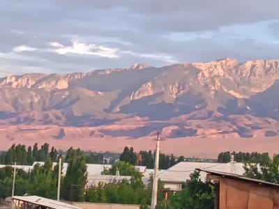 The image depicts a vast mountain range in the background, with the lower slopes bathed in the warm, rosy light of either sunrise or sunset. The sky above is a mix of soft blue and dramatic grey clouds. In the mid-ground, there is a flat expanse of land with a subtle gradient of dusty pink, suggesting an arid or semi-arid environment. Dotted across this landscape are clusters of tall, dark green trees, characteristic of a populated area. In the foreground, the tops of buildings are visible, with white roofs and some wooden structures. A utility pole with wires is prominently positioned on the right side of the image. The scene suggests a location on the outskirts of a town or village, likely Langar, Uzbekistan, given the characteristic topography and vegetation that are consistent with the region. There are no people visible in the image.