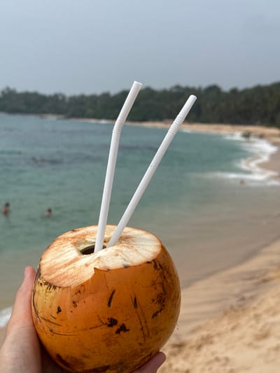 A ripe, golden coconut with two white straws juts into the frame, held in a hand. The coconut is cracked open, revealing its white interior. Beyond the coconut, a serene beach scene unfolds. The turquoise ocean meets a sandy shore, with gentle waves rolling in. Lush green vegetation lines the edge of the beach, completing the tropical vista.