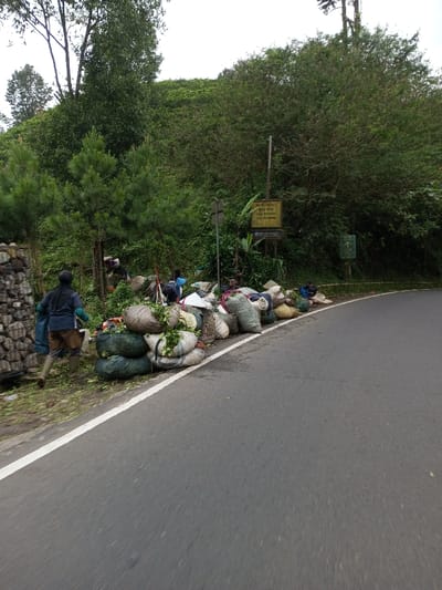 The image depicts a roadside scene in Boommlog, Bhutan. A paved road with a solid white edge line occupies the foreground and midground, curving slightly to the right. To the right of the road, a dirt shoulder is lined with numerous large, filled sacks made of various materials (burlap, woven synthetic), predominantly light beige, white, and dark green. These sacks contain green leafy matter, likely crops.
Behind the sacks, dense green foliage, including trees and bushes, covers a rising slope. Amidst this vegetation, at least five individuals are present. One person in the immediate foreground, facing away, walks left to right near a stone wall structure. This individual wears a dark blue long-sleeved top, light blue pants, brown boots or gaiters, and green gloves. Further into the scene, other individuals in varied attire, including one with a white conical hat, are seen near and amongst the stacked sacks and foliage, some appearing to be engaged in sorting or handling the contents. Two wooden poles with signs, one yellow/beige with dark text, are partially visible within the vegetation on the right side. The sky above is overcast.