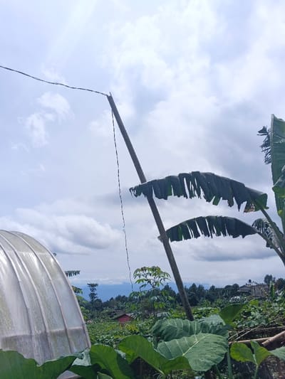 The image displays an outdoor agricultural environment in ឃុំ ផាត់សណ្ដាយ, Cambodia, under an overcast sky. The upper two-thirds of the frame are dominated by a light blue sky with extensive, diffuse white and grey cloud cover. In the lower-left quadrant, the curved, translucent plastic roofing of a tunnel greenhouse is visible. Extending diagonally from the upper-left towards the mid-right is a tall utility pole, from which a dark electrical or communication wire is strung horizontally, and another wire hangs loosely downward. To the right of the pole, several large, green banana leaves, appearing somewhat weathered and torn, are present. The foreground and midground are densely vegetated with various green plants, including large, broad-leafed plants in the immediate foreground. Further back, numerous trees and shrubs form a dense canopy. A small structure with a red roof is partially visible amidst the foliage in the midground. Distant hills or mountains are faintly discernible on the horizon beneath the clouds. No people or animals are visible within the scene.