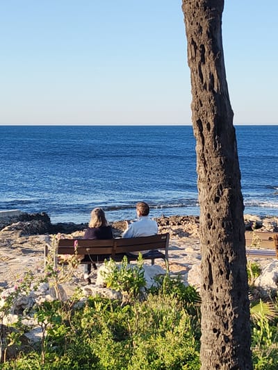 Two people are captured from behind, sitting on a wooden bench, gazing out at a serene blue sea under a clear sky. The woman on the left has shoulder-length blonde hair and wears a dark top, while the man on the right has short brown hair and wears a light-colored long-sleeved shirt. They are positioned on a rocky shoreline, with green and flowering plants growing around the bench and in the immediate foreground. To the right of the frame, a large, textured tree trunk partially obstructs the view, providing a natural framing element.
The sea extends to the horizon, appearing calm with gentle ripples and a darker blue closer to the shore. The sky is a light, cloudless blue. The lighting suggests it is either late morning or early afternoon, with clear, bright sunshine illuminating the scene. The overall atmosphere is peaceful and contemplative. The setting is a coastal area, likely in Rotes, Spain, given the provided context. There is no visible text in the image.