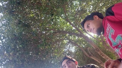 The image captures an outdoor scene in Al-Qaboun Municipality, Syria, from a low-angle perspective looking upwards. The upper two-thirds of the frame are dominated by a dense canopy of green tree leaves and visible branches, through which dappled sunlight filters. Two male individuals are partially visible in the lower third of the image. The individual on the right, positioned closer to the camera, has dark hair and a dark beard; he is wearing a red long-sleeved top with black shoulder panels and a light blue graphic print, and is gazing towards the left and slightly upwards. The second individual, partially visible in the lower-left corner, shows only the upper part of his head and face (forehead, eyes, nose); he also has dark hair and appears to be looking upwards into the foliage. He is wearing a dark garment with a white graphic design. Both subjects are positioned directly beneath the overhead tree canopy.