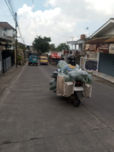 A blurry, low-angle shot depicts a person on a motorcycle overloaded with produce, traveling down a paved street in what appears to be a residential or commercial area. The rider is wearing a helmet and a light-colored shirt, and the motorcycle has large baskets or containers attached to the back, filled with green leafy vegetables. Two vehicles, a blue and a yellow one, are visible further down the street. Buildings line both sides of the street, with some featuring signage. The sky is overcast with white clouds.