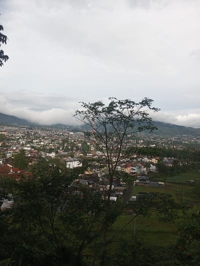 The image captures an elevated, panoramic view of a town or village nestled within a mountainous landscape, under a predominantly overcast sky. In the immediate foreground, dense, dark green foliage and bushes frame the bottom and left edges of the scene, suggesting the photograph was taken from a vegetated hillside. A prominent, medium-sized tree with delicate branches and green leaves stands in the mid-right foreground, its trunk and canopy extending upwards.
The midground is dominated by the sprawling settlement, comprising numerous buildings, mostly houses with varied roof colors including red, brown, and grey. The architecture appears residential, with structures closely packed together, and roads or paths winding through them. On the far right, beyond the main cluster of houses, there are open, green fields or undeveloped land with a few scattered, smaller structures.
The background features majestic mountains, their lower slopes and peaks partially obscured by thick, white clouds or mist that extend into the valley, creating a soft, ethereal atmosphere. The sky above is a uniform light grey, indicating an overcast day without direct sunlight, and contributing to the diffused lighting across the entire scene. There are no visible people or specific activities occurring. No text is visible in the image. The misty, mountainous terrain and dense greenery are consistent with a location such as Yusipang, Bhutan.
