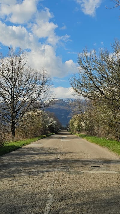 The image presents a view along a road in Beguntsi, Bulgaria, characterized by a clear, blue sky dotted with fluffy, white clouds on the left. Bare trees with intricate branching patterns frame the top and bottom of the sky. The road stretches diagonally across the scene, with green grass flanking its side. In the distance, a mountainous landscape is visible, possibly partially obscured by the trees. The road appears to be asphalt, showing signs of wear. A vehicle can be seen down the road.