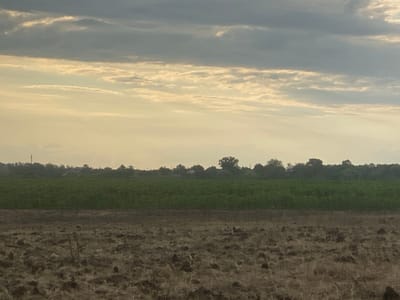 The image depicts a landscape scene under a cloudy sky. In the foreground, a plowed field of dark brown soil is visible. Beyond this, a strip of vibrant green crops stretches horizontally across the midground. A line of trees and some distant structures form the background, suggesting a rural or semi-rural environment. The sky is filled with various cloud formations, with lighter, yellowish hues suggesting the sun is low on the horizon or partially obscured. No people or specific actions are discernible in the image. The overall impression is of an agricultural landscape at either dawn or dusk. The location of Ustyvytsya, Ukraine, is contextual information provided for the scene.