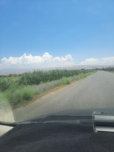A paved road stretches into the distance under a bright blue sky with scattered white clouds. On the left side of the road, a lush green field is visible, bordered by a line of tall, dense vegetation. The right side of the road features a row of trees. In the foreground, the dashboard of a vehicle is visible, obscuring the lower portion of the scene. The image appears to be taken from inside a car, looking out towards the landscape. The area is rural, likely in or near Novabad, Tajikistan, given the vegetation and mountainous background.
