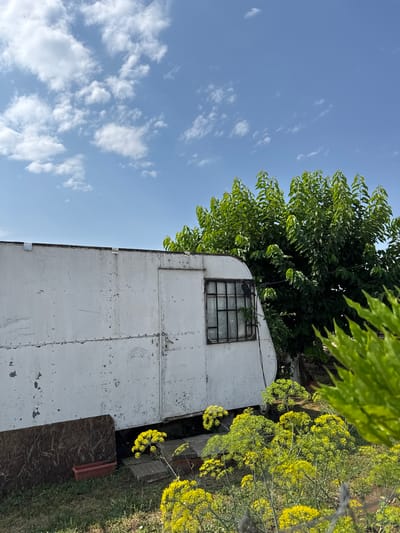 The image depicts an outdoor scene in the city of Tutrakan, Bulgaria, featuring a weathered, white trailer in the foreground. The trailer's exterior shows signs of wear, with peeling paint and visible rivets. A single window with a metal grate is visible on the side of the trailer. Adjacent to the trailer are several large, lush green trees. In front of the trailer, a patch of yellow wildflowers is in bloom. The sky above is blue with scattered white clouds. The ground appears to be covered in grass, with some paving stones visible near the base of the trailer.