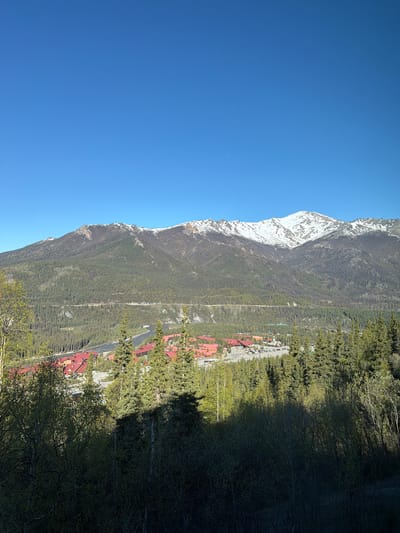 This media file presents a panoramic landscape view within Denali Park, United States, characterized by majestic mountains, dense forests, and a small settlement. The sky is a brilliant, clear blue, indicating sunny weather.

The scene is dominated by a vast mountain range that stretches across the image. The upper slopes of the mountain to the left are covered in snow, while the lower sections are densely forested with coniferous trees, extending down into a broad valley.

Nestled in the valley, running parallel to the base of the mountain, is a small town or village. It features numerous buildings with distinctive reddish-orange roofs, visible amidst the green canopy of trees. A road or possibly a river can be seen winding through the valley, alongside the settlement.

The time of day appears to be bright and sunny, with strong sunlight illuminating the mountain and parts of the valley. Long shadows are cast from trees in the immediate foreground, stretching across the valley floor, creating a contrast between sunlit and shaded areas. There are no people visible, and no discernible text. The image conveys a sense of serene natural beauty and the presence of human life harmoniously integrated into a rugged wilderness setting.