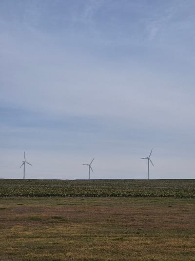 A wide, open rural landscape in Stara Reka, Bulgaria, is depicted under a pale blue-gray sky with diffuse cloud cover. The foreground consists of uncultivated land, exhibiting dry, patchy brown and green grass interspersed with areas of exposed earth. Immediately beyond, a vast agricultural field stretches horizontally across the midground, densely cultivated with low-lying green crops. On the distant horizon, three multi-blade wind turbines are visible, spaced approximately equidistant from each other from left to right, their white structures silhouetted against the sky. No human figures, animals, or vehicles are present within the frame.