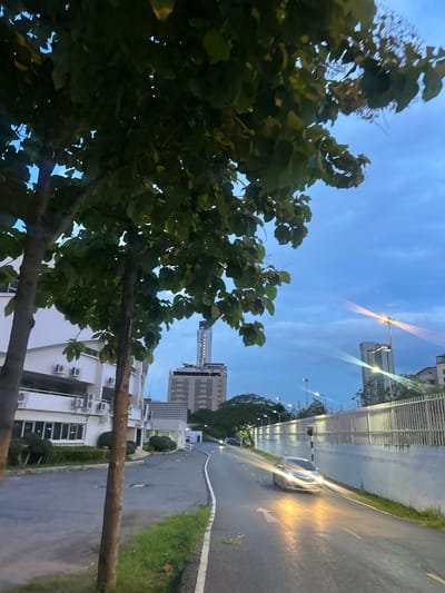 This media file captures a twilight scene in Tha Khlong Town Municipality, Thailand. The sky is a deep blue, transitioning from day to night, with the soft glow of streetlights illuminating the surroundings. In the foreground, the lush green leaves and branches of a tree partially obscure the view, suggesting an outdoor setting with natural elements.
A paved road curves through the scene, with a car driving along it, its headlights casting bright beams. The road is bordered by a grassy verge and a white concrete barrier. Beyond the barrier, several modern buildings, including apartment complexes and taller structures, are visible. Some buildings have visible air conditioning units mounted on their exteriors. The overall impression is of an urban or suburban environment during the early evening. The lighting suggests it is either dusk or dawn, with artificial lights becoming prominent. There is no visible text in the image. The scene appears calm and uneventful, a typical evening in a developed area.