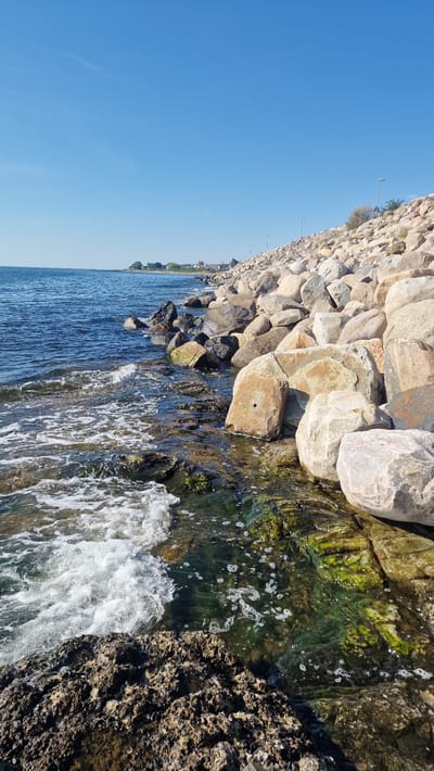 The image depicts a rocky coastline in Simrishamn, Sweden, under a clear blue sky. The foreground features a large, dark, rough-textured rock with waves gently lapping at its base. The water is a deep blue, transitioning to a clearer, shallower area where waves are breaking over submerged rocks covered in green algae. A line of large, rounded boulders forms a breakwater extending along the coastline to the right. In the distance, a town with houses and trees is visible along the shore, with a few streetlights dotting the breakwater. The overall scene is a tranquil coastal landscape.