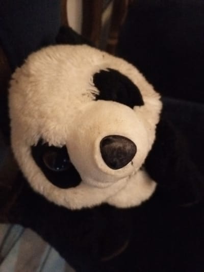 A plush panda toy dominates the frame, its head positioned at an angle. The panda features white fur on its face, accented by black patches around the eyes and black ears. It has a prominent black nose and large, shiny plastic eyes that catch the light. The toy appears slightly worn or dusty, with a few dark specks on the white fur. The panda is set against a dark background, which may be furniture.