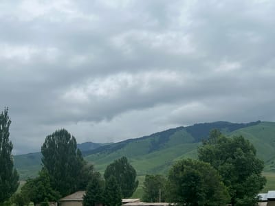 The image depicts a cloudy day in the city of Shabdan, Kyrgyzstan, with rolling green hills in the background. In the foreground, several tall, slender trees are visible, along with a cluster of deciduous trees. A low-pitched roof of a building, possibly a house or shed, is partially visible at the bottom of the frame. The landscape suggests a rural or semi-rural setting. The sky is overcast with a layer of grey clouds, obscuring any direct sunlight. The hills are covered in green grass, with patches of dark green trees scattered across their slopes. The overall impression is one of a serene, natural environment under a moody sky.