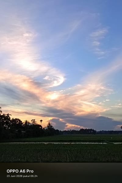 A vertical, eye-level, medium shot captures a serene landscape at dawn in Blangkutacoh, Indonesia. The sky is a canvas of soft blues and pinks, with wispy clouds painted by the rising sun. A line of dark green trees, silhouetted against the sky, forms the horizon, with palm trees interspersed among them. In the foreground, a lush green rice paddy stretches across the frame, its surface reflecting the soft light. The bottom of the image displays a black bar with white text that reads "OPPO A6 Pro" and "23 Juni 2026 pukul 06.24," indicating the phone used to capture the image and the date and time. There are no people or discernible action in the scene, emphasizing the peaceful stillness of the rural environment.