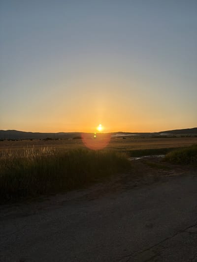 This media file captures a rural Bulgarian landscape at sunset. The primary subjects are the vast, open fields and the road that traverses them, with a low line of hills in the distance. The scene is bathed in the warm, golden light of the setting sun, which is positioned low on the horizon and creates a lens flare. Tall grasses and dry vegetation populate the fields, suggesting a rural or agricultural setting. A narrow strip of water, possibly a ditch or irrigation channel, runs parallel to the road in some areas. The road itself appears to be asphalt and shows signs of wear. The overall impression is one of tranquility and the end of a day in the countryside. The time of day is clearly sunset due to the low angle of the sun and the warm hues of the sky. The weather appears clear. There is no visible text in the image.