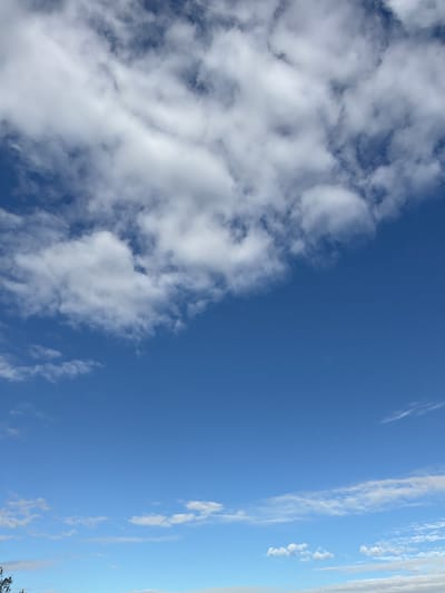 This is an image of a blue sky with white clouds. The clouds are concentrated in the upper left quadrant of the image, with more dispersed clouds and wisps in the lower portion. The sky is clear and bright. There is a very small, dark object, possibly a bird or insect, in the upper right portion of the image. The bottom edge of the image shows a sliver of a tree with dark green leaves on the far left and a faint horizon line with some pale, wispy clouds below. The scene appears to be an outdoor natural environment. There is no identifiable urban landscape or specific location markers visible that would place it in Druten, Netherlands.