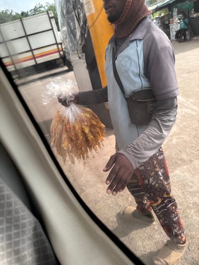 A street vendor stands on the side of a road in Gaga, Nigeria, offering a large bag of fried plantain chips to a potential customer in a vehicle. The vendor is wearing a knitted hat, a long-sleeved shirt, patterned pants, and sandals. The setting includes other parked trucks and greenery. The shot appears to be taken from inside the vehicle.