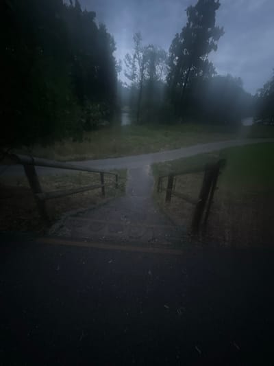 The image depicts a dimly lit, atmospheric scene of a park or wooded area on an overcast day, possibly with mist or light rain. In the foreground, a paved pathway leads down a set of stone steps. Wooden handrails line both sides of the steps. Beyond the steps, the pathway continues into the distance, curving through grassy areas and dense trees. A body of water, perhaps a pond or canal, is visible further back, partially obscured by foliage and mist. The overall mood is somber and serene, with muted colors and a sense of natural tranquility. The location is identified as a park in Ludwigsburg, Germany, likely an area with walking paths and natural water features.