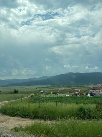The image captures a rural landscape near Rozino, Bulgaria, under a predominantly overcast sky with scattered patches of light blue. A distant range of dark green mountains forms the background, appearing somewhat hazy. The midground features expansive, verdant fields, likely agricultural, exhibiting various shades of green. Three parallel power lines stretch horizontally across the upper-mid section of the frame. Scattered within the fields are several modest structures, including small buildings, some with reddish-brown tiled roofs, and other utilitarian constructions. A dirt road or track curves from the lower-left corner through the midground. A dark-colored horse is visible standing near one of the structures in the mid-right. The foreground is dominated by dense, tall green grass and weeds, interspersed with small purple flowers. Short, rough wooden posts are present within the tall grass, suggesting a boundary or old fence line. A section of gravel is visible in the extreme bottom-left. No individuals are present in the scene.