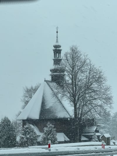 An exterior long shot captures the wooden Church of St. Anne in Rdzawka, Poland, during a snowfall. The church, constructed of dark material, features a multi-tiered steeple topped with a cross finial, all partially obscured by falling snow. Its steep, shingled roofs are heavily laden with accumulated snow. Bare deciduous trees, their branches outlined with snow, flank the church, while snow-covered evergreen shrubs are visible closer to the foreground. The sky is overcast and uniformly light gray. In the immediate foreground, a snow-covered metal guardrail runs horizontally across the frame, with two red and white reflective road markers protruding from the snow beside it. No individuals are present in the scene.