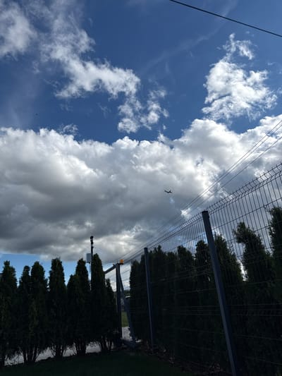 This is a photograph taken outdoors, oriented vertically, showing a view of the sky and a fence with trees. The sky is a vibrant blue with scattered white clouds, some of which are large and billowy, suggesting a day with fair to partly cloudy weather. A dark silhouette of an airplane is visible in flight against the clouds, creating a dynamic element in the sky.
The foreground features a metal wire fence, a common security or boundary feature, running horizontally across the frame. Behind the fence, a row of dark green, coniferous trees is lined up. The trees appear to be well-maintained and are densely packed, creating a visual barrier.
In the background, further elements of the fence are visible, along with what appears to be a traffic light or surveillance camera mounted on a pole. The overall scene suggests an outdoor setting, possibly a park, the grounds of a facility, or a residential area with a boundary fence and landscaping. The presence of the airplane indicates a location near an airport or within a flight path. The lighting suggests it is daytime, with sunlight illuminating the clouds and casting shadows, though the exact time of day is not precisely determinable without more context. The location is identified as Zhostovo, Russia. No text is visible in the image.