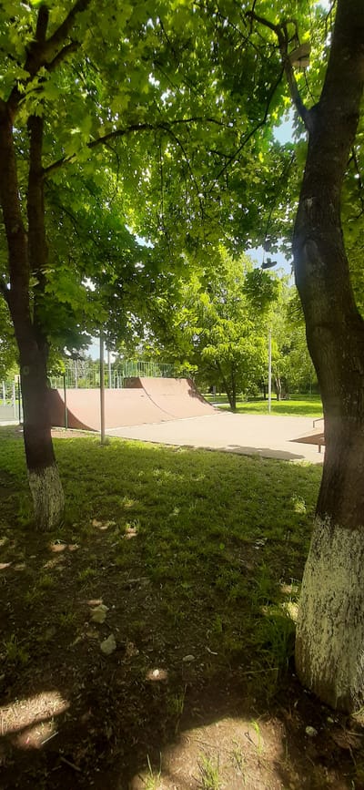 The image depicts a skatepark located in Yessentukskaya, Russia, surrounded by lush green trees and grass. The skatepark features a smooth, reddish-brown ramp with metal railings along its upper edge. The ground surrounding the ramp is paved with concrete. In the foreground, two large tree trunks with white-painted bases stand prominently, casting shadows on the grassy ground. The overall scene suggests a sunny day in a park setting, with the skatepark appearing to be in good condition and ready for use. There are no people visible in the image.