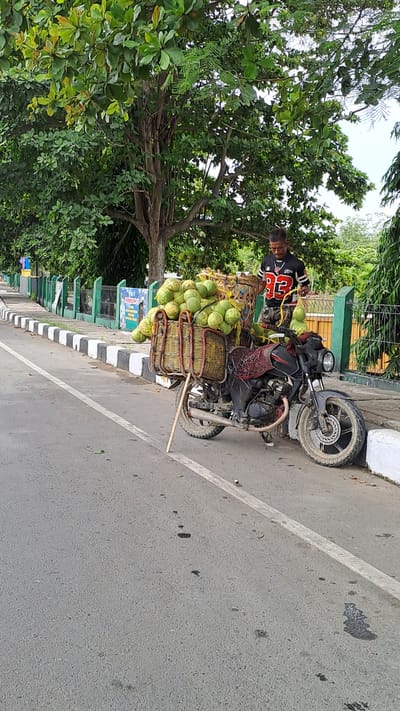 A man is standing next to a motorcycle loaded with coconuts. The motorcycle is parked on the side of a road, with a sidewalk and a green fence behind it. A tree with green leaves is on the left side of the image. The man is wearing a black and red shirt with the number 23 on it. The coconuts are stacked in baskets on the back of the motorcycle. The scene appears to be outdoors, possibly during the day, with clear weather. There are black and white stripes on the sidewalk. A sign is visible behind the coconuts.
