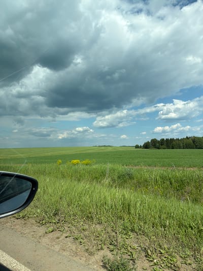 The image depicts a rural landscape with a focus on a vast green field under a dramatic, cloudy sky. In the foreground, the left side of a car's rearview mirror is visible, reflecting the sky. The terrain transitions from a dirt and gravel roadside with sparse vegetation to a dense, tall green grass field. Further into the scene, the field becomes a neatly cultivated expanse of lighter green crops, suggesting agricultural land. Small clusters of yellow wildflowers dot the field. In the distance, a dark green line of trees forms the horizon on the right, with a faint treeline also visible on the far left horizon. The sky is characterized by large, dark gray storm clouds interspersed with patches of bright blue sky and white cumulus clouds. There are no people or animals visible in the frame. The image appears to be taken from a moving vehicle traveling along a roadside adjacent to agricultural fields.