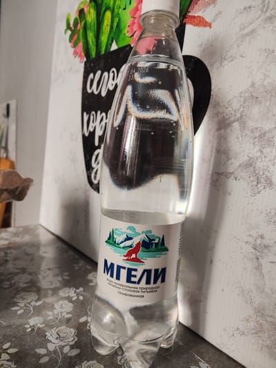 A clear plastic bottle of "MGELI" brand mineral water stands upright on a patterned surface. The bottle is mostly full of water with visible bubbles, indicating it is carbonated. A white cap seals the top of the bottle.

The label on the bottle features a graphic of a red wolf silhouette against a backdrop of snow-capped mountains and green trees. Below the graphic, the word "МГЕЛИ" is prominently displayed in large, bold, dark blue letters. Beneath this, in smaller text, it reads "вода минеральная природная лечебно-столовая питьевая газированная". This translates to "mineral water, natural, medicinal-table, drinking, carbonated".

The background includes a portion of a canvas artwork depicting a black mug with stylized script that appears to say "сегодня хороший день" (Today is a good day). The artwork also shows pink and green flowers. The overall setting appears to be indoors, possibly a kitchen or dining area, with a textured wall behind the bottle and artwork. A discarded cardboard egg carton is partially visible to the left of the bottle.

Printed on the bottle, near the neck, is a date: "07.04.2026" and "23:22". These likely represent an expiration or bottling date and time. The lighting suggests it is daytime. The image provides no clear indications of weather or specific emotions. The location context is Kirovsk, Russia.
