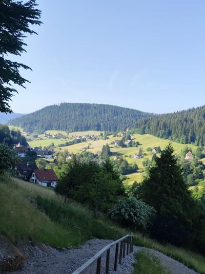 This vertical, eye-level, natural light photograph captures a picturesque view of the village of Baiersbronn, Germany. The foreground features a gravel path with a wooden railing, flanked by lush, green grass on a gentle slope. In the midground, several houses with red-tiled roofs are nestled amongst trees and rolling green hills. The background is dominated by a large, densely forested mountain. The sky is a clear, pale blue, with a faint airplane contrail visible. The overall impression is one of a serene, rural landscape during daytime.