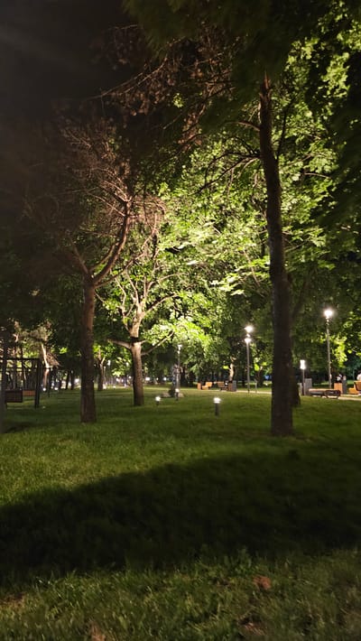 A nighttime photograph captures a park in Yessentuki, Russia, illuminated by artificial lights. The scene is dominated by trees with lush green foliage, some of which are lit from below, creating a warm glow. The ground is covered in a carpet of green grass, with distinct shadows cast by the trees. Several low-lying, modern-style outdoor lights are scattered across the lawn, spaced evenly apart. In the background, lamp posts with brighter lights are visible, as are park benches and what appear to be trash receptacles. The overall atmosphere is serene and inviting.
