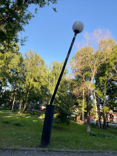 The image shows a park in Kiselyovsk, Russia, under a clear blue sky. A tall, black lamppost with a spherical white light fixture is the primary subject, positioned in the foreground and leaning slightly to the left. The lamppost is surrounded by lush green grass. In the background, a line of birch trees with white bark and green leaves stretches across the scene. Some of the trees appear more mature and less leafy, revealing their branches. Behind the trees, buildings with red roofs and brickwork can be partially seen. The park has a gentle slope, and sunlight casts dappled shadows on the grass. There are no people visible in the image.