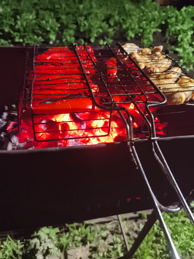 In Il'mino, Russia, at night, a barbecue grill is set up outdoors, with glowing embers providing heat. On the grill, slices of red bell pepper are being cooked in a basket. Adjacent to the peppers, pieces of cooked chicken are also on the grill. The surrounding environment is dimly lit, with green foliage visible in the background, suggesting a natural setting.