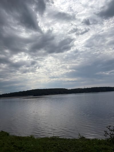 The image shows a wide body of calm water, likely a lake or river, with a shoreline of green grass in the foreground. Across the water, a dense line of dark green trees forms the opposite bank, creating a distinct horizon. Above the trees, a dramatic sky filled with heavy, grey clouds dominates the upper portion of the image, with patches of brighter sky suggesting breaks in the overcast conditions. The overall scene evokes a sense of natural tranquility under a brooding sky. This landscape is characteristic of the natural areas surrounding Zarechny, Russia, a city known for its proximity to several reservoirs and forested regions, including the Beloyarskoye Reservoir.