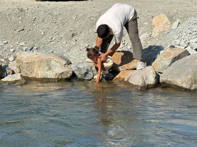 In Azgilli, Azerbaijan, a man in a white t-shirt and dark pants is bending over to assist a young child in a light-colored dress. The child is crouching near the edge of a body of water, reaching a hand towards it. They are surrounded by large rocks and a gravelly embankment. The water is clear and appears to be flowing. The sun is shining, casting shadows on the ground.