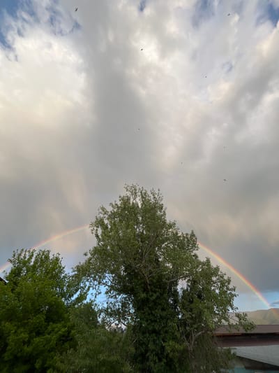 The image shows a view of a cloudy sky with a rainbow. Trees with green foliage are visible on the right side of the frame. There are small birds flying in the sky. A building can be seen on the top right corner of the image. The photograph seems to have been taken in an open outdoor space, likely within an urban environment. The location, Kulata, Bulgaria, cannot be definitively confirmed solely from the image's content.