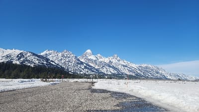 The image depicts a vast, snow-covered mountain landscape under a clear blue sky, located in the vicinity of Moose, Grand Teton National Park, United States of America. The upper two-fifths of the frame are occupied by an uninterrupted, vivid blue sky. Below this, a prominent range of snow-capped mountains, identified as the Teton Range, spans the mid-ground. These peaks exhibit rugged, dark rock faces interspersed with significant accumulations of bright white snow, extending down to a dense, dark green forest line composed of evergreen trees.
In the foreground, a dark, textured asphalt road curves from the lower-left corner towards the right side of the frame. This road appears largely cleared of snow, though dark, wet patches are visible, suggesting recent melting or clearing activity. It is bordered by substantial snowdrifts on both sides. To the right of the road, the ground is uniformly covered in undisturbed white snow that stretches into the distance. Near the bend in the road, several vertical marker poles are present, one displaying reflective yellow and black banding, and another featuring a red circular sign element. A brown wooden fence post is partially visible on the left side of the road. No human subjects, vehicles, or animals are present. The scene is illuminated by bright, natural sunlight, casting subtle shadows and indicating clear weather.