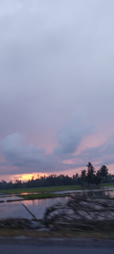 The image depicts a landscape scene at dusk in Rayeuknaleung, Indonesia. The sky is filled with hues of purple and pink, with some dark clouds present. In the foreground, a body of water, likely a rice paddy, reflects the colors of the sky. There are also some logs or debris in the water and along the bank. A line of trees, including palm trees, forms a silhouette against the horizon. The overall impression is a serene, rural environment during twilight.