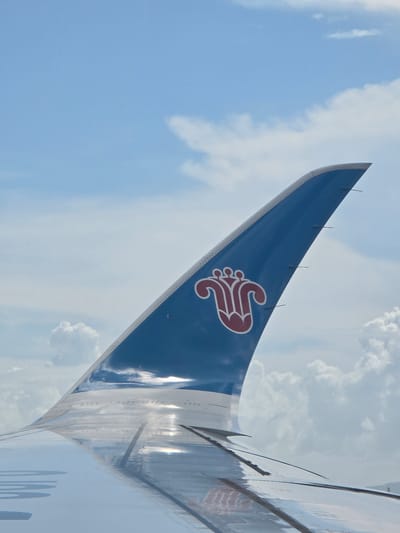 The image shows the tail fin of a China Southern Airlines airplane against a backdrop of a partly cloudy sky. The tail fin is blue with a stylized red flower logo. The wing of the airplane is visible in the foreground, reflecting the sky and clouds. The photo was taken from inside the airplane, looking outwards. The location is not specified in the image but the airline operates flights from Shenzhen Bao'an International Airport in Bao'an District, China.