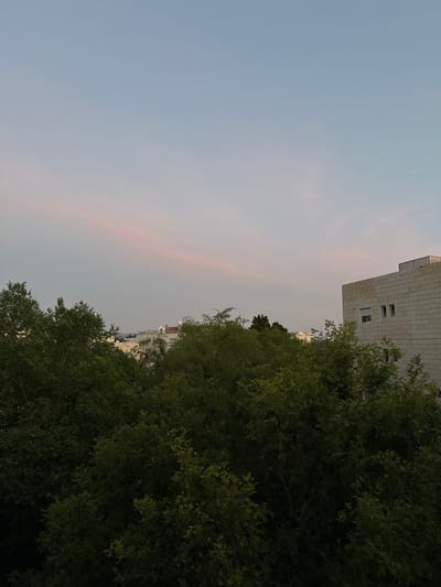 A medium shot of the evening sky over Modiin-Maccabim-Reut, Israel. The sky is a light blue-gray color with faint pink streaks. The top corner of a light gray building with windows is visible at the top right. A large tree with dark green foliage fills much of the right side of the frame. The tops of other buildings can be seen in the distance between the tree and the building.