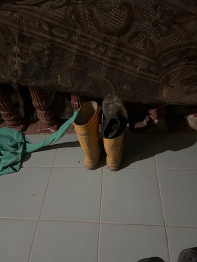 Two yellow rubber boots are standing on a tiled floor. One boot is empty, and the other has a dark sock pulled up inside it. A crumpled teal-colored fabric lies on the floor to the left of the boots. Behind the boots, there is a dark, patterned fabric draped over what appears to be furniture, and the legs or supports of this furniture are visible. The background is dimly lit, with shadows cast on the floor and wall. The scene appears to be indoors, possibly in a storage area or a utility space. The location is identified as Kota Kuala Simpang, Indonesia.