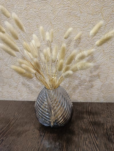 A close-up, eye-level shot features a translucent, fluted glass vase with a ribbed, leaf-like pattern. The vase is filled with a dried arrangement of beige bunny tail grasses, their fluffy tips fanned out against a textured, cream-colored wall. The vase rests on a dark brown wooden surface, its grain visible in diagonal lines. The scene is indoors, and there are no people or animals present. The lighting is soft, creating subtle shadows. The image does not provide any information that can be used to determine its location in the city of Vichuga, Russia.